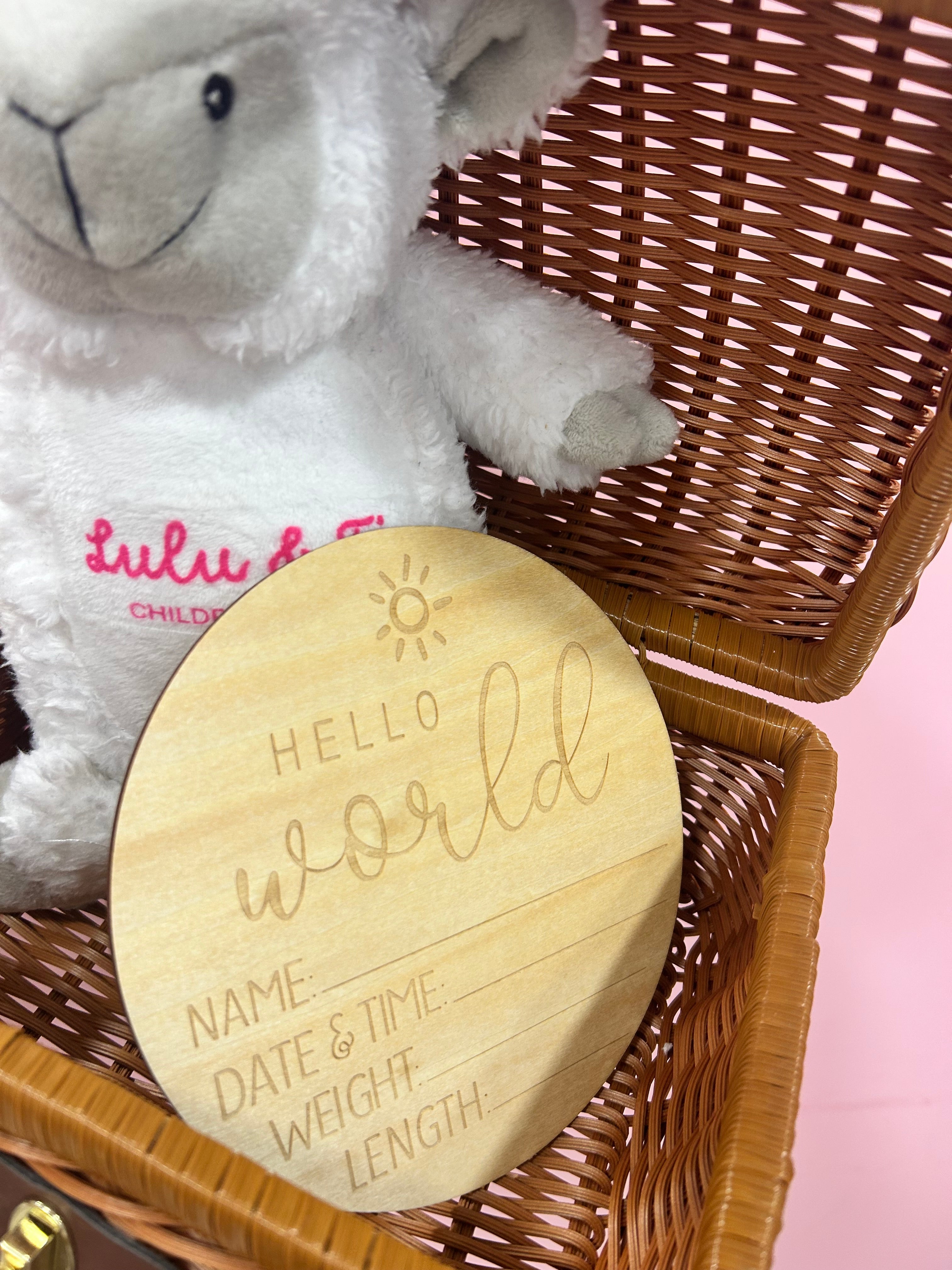 Hello World Wooden Baby Plaque- Choose Sun or Rainbow Design