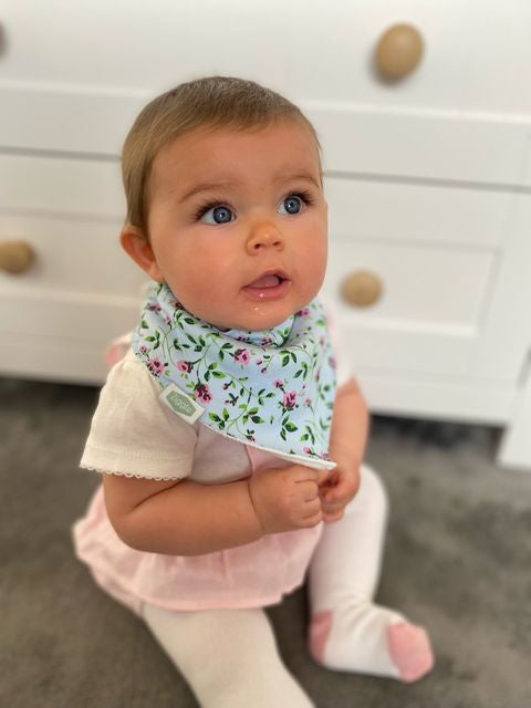 Ziggle Baby Blue Vintage Rose Bib