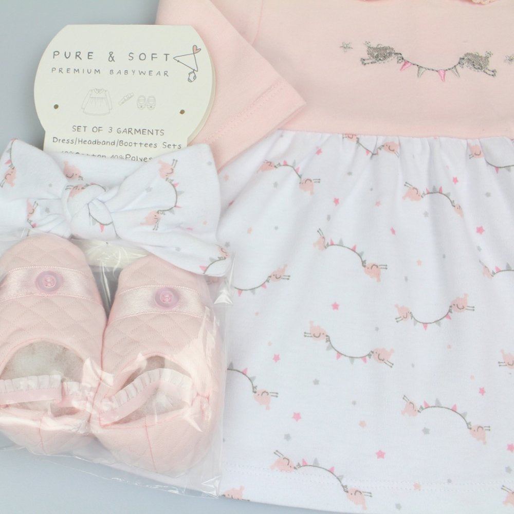 Baby Girl Pink Dress Gift Set
