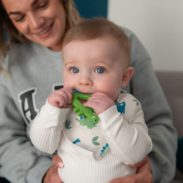 Ziggle Baby Dino Teether