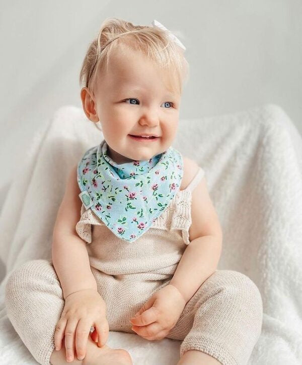 Ziggle Baby Blue Vintage Rose Bib