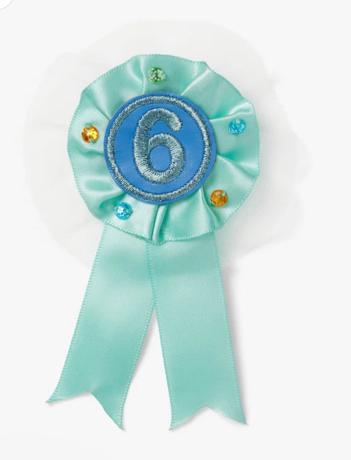 Stych Accessories Number 6 Birthday Gem Rosette