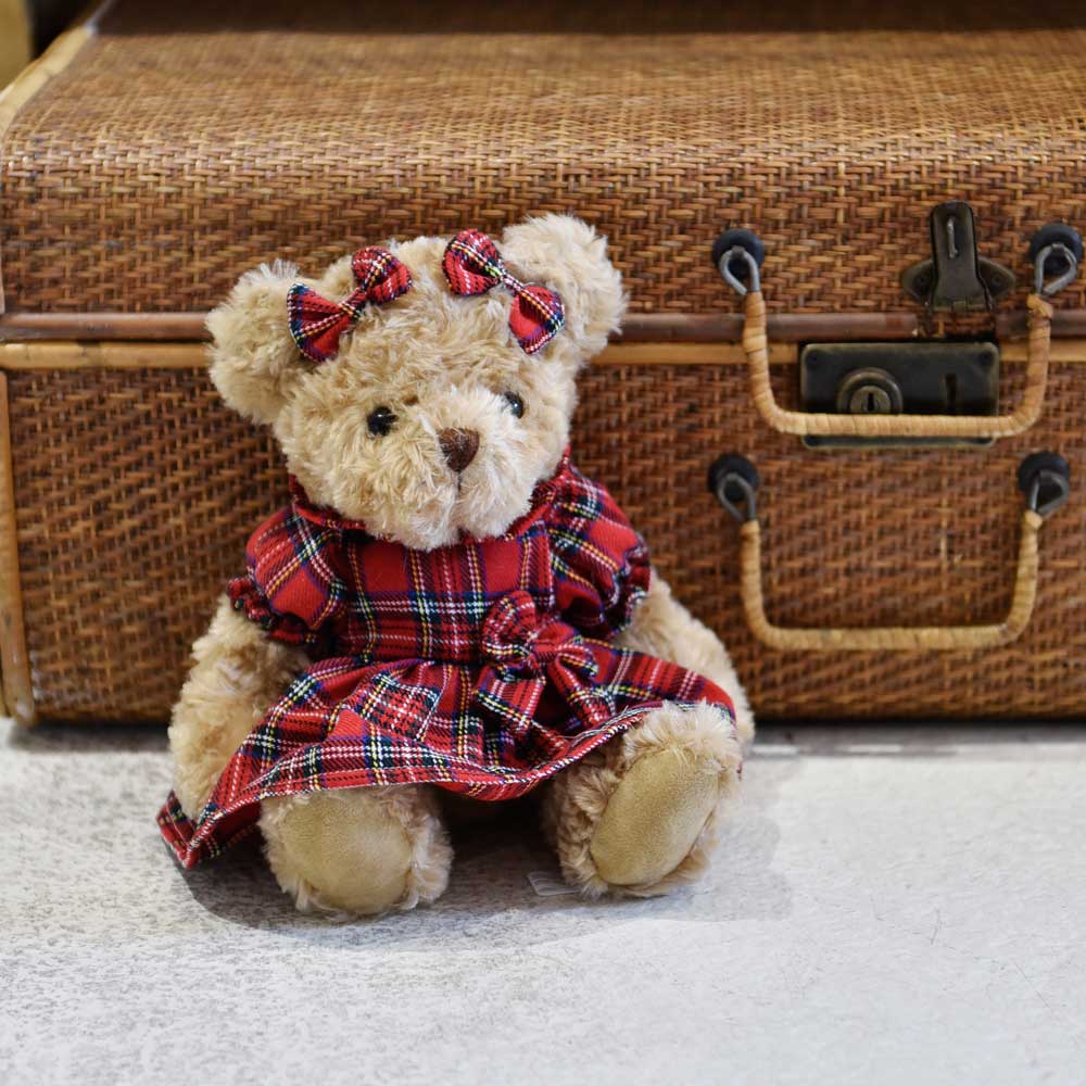 Teddy Bear with Tartan Dress