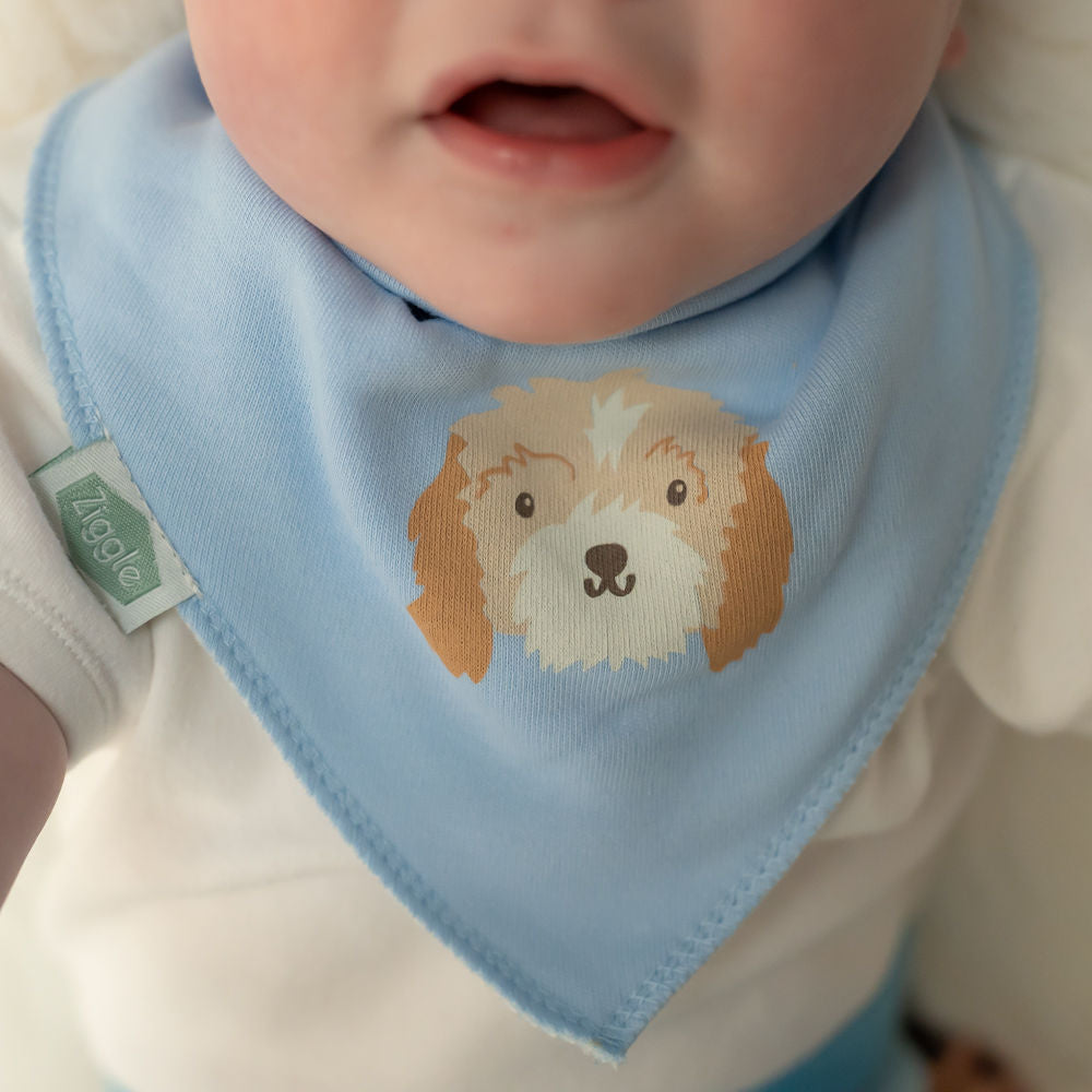 Ziggle Baby Blue Cockapoo Bib