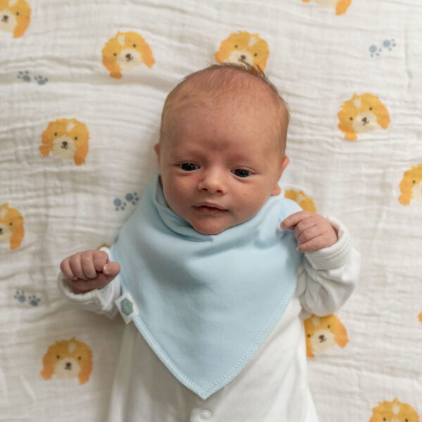 Ziggle Bibs “Driftwood Waves” 4 Pack