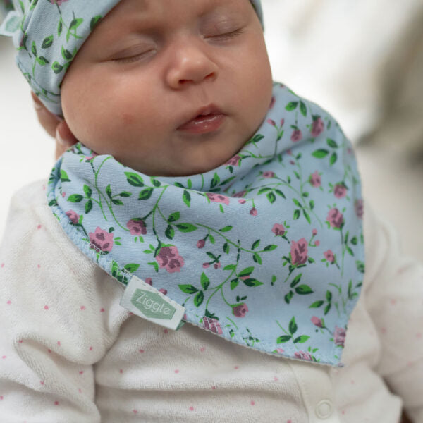 Ziggle Baby Blue Vintage Rose Bib