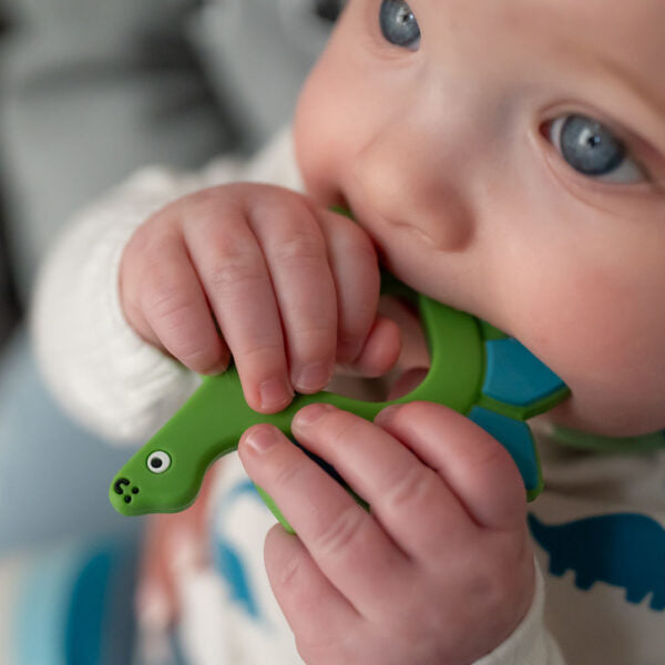Ziggle Baby Dino Teether