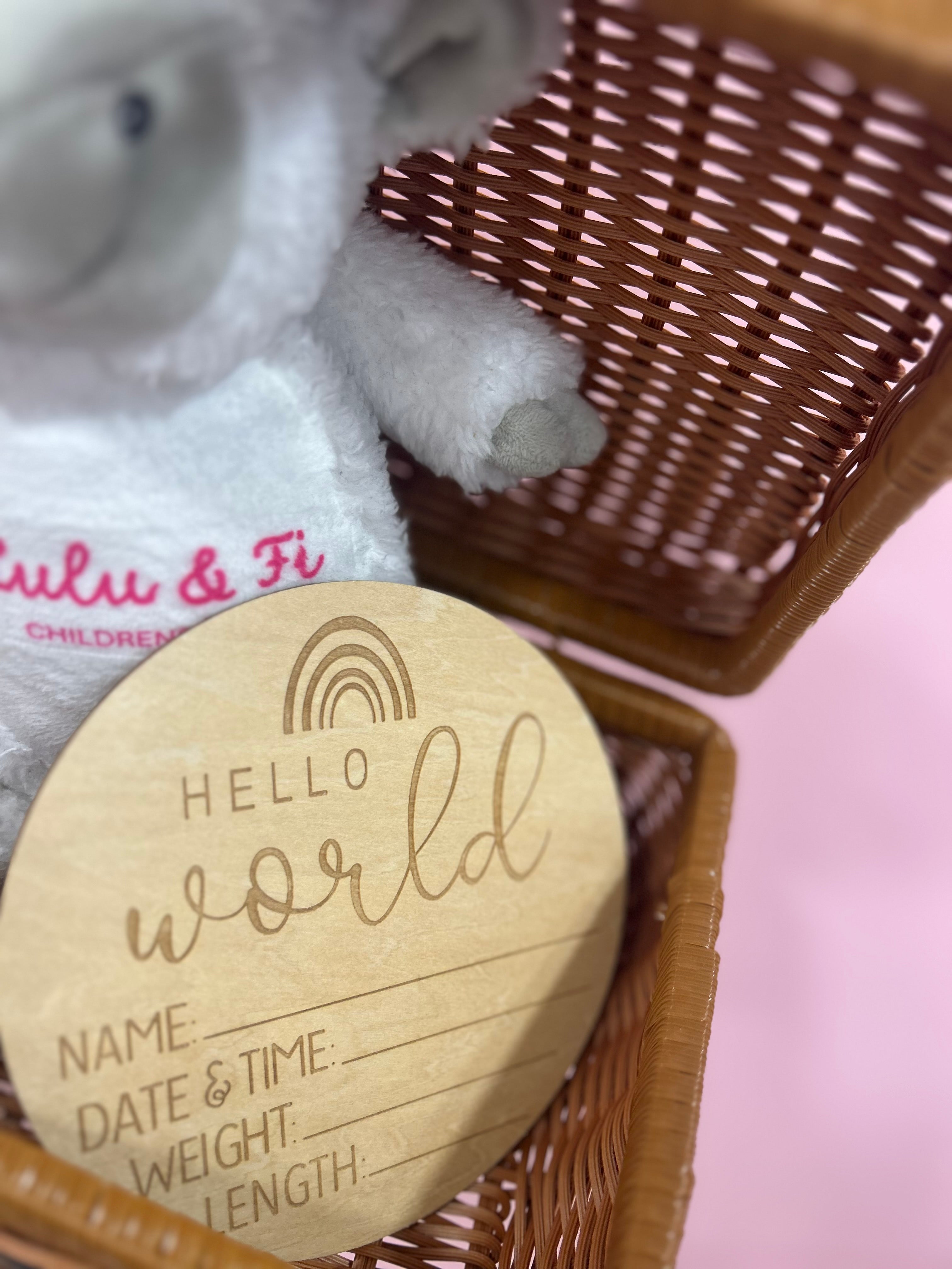 Hello World Wooden Baby Plaque- Choose Sun or Rainbow Design