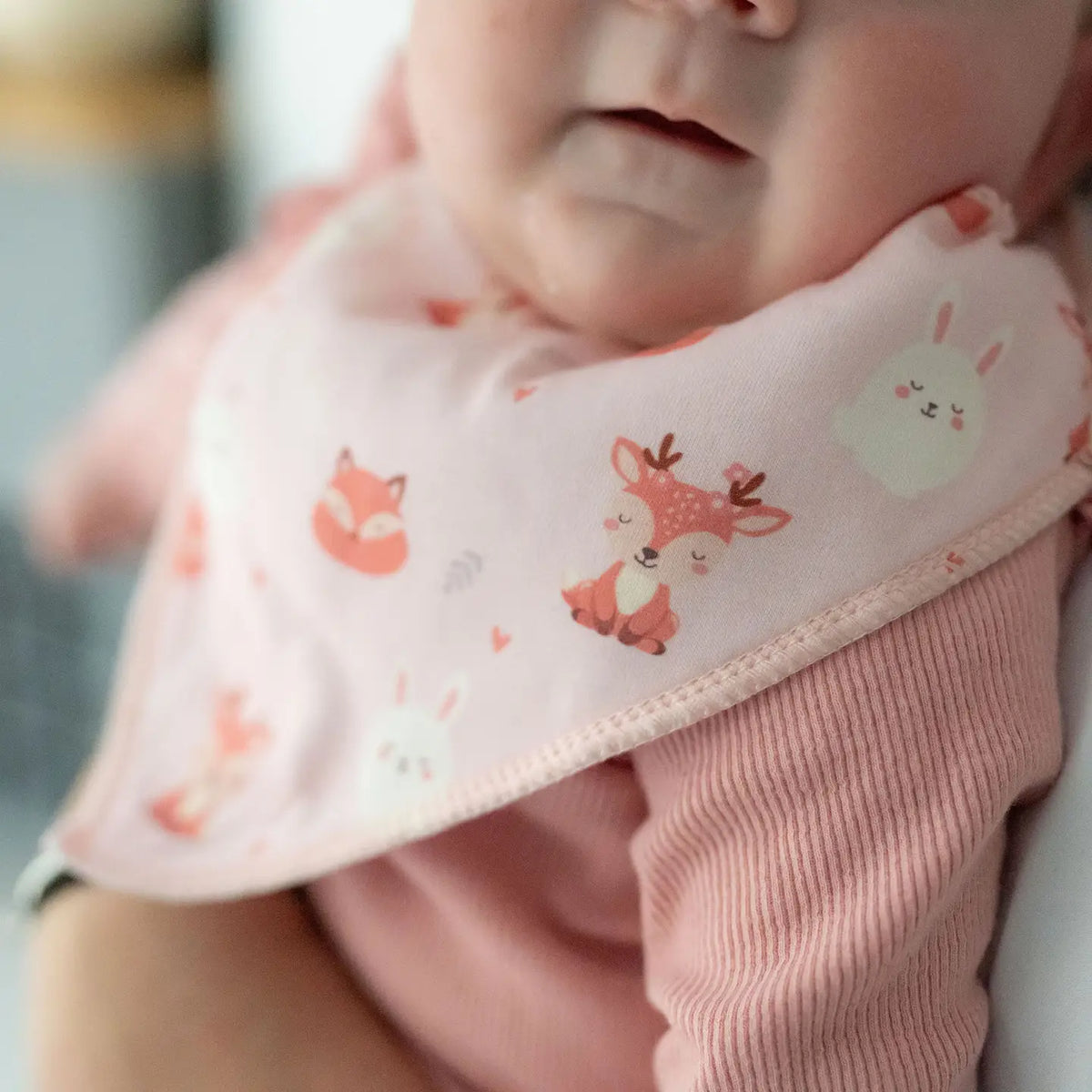 Ziggle Woodland Animals Dribble Bib