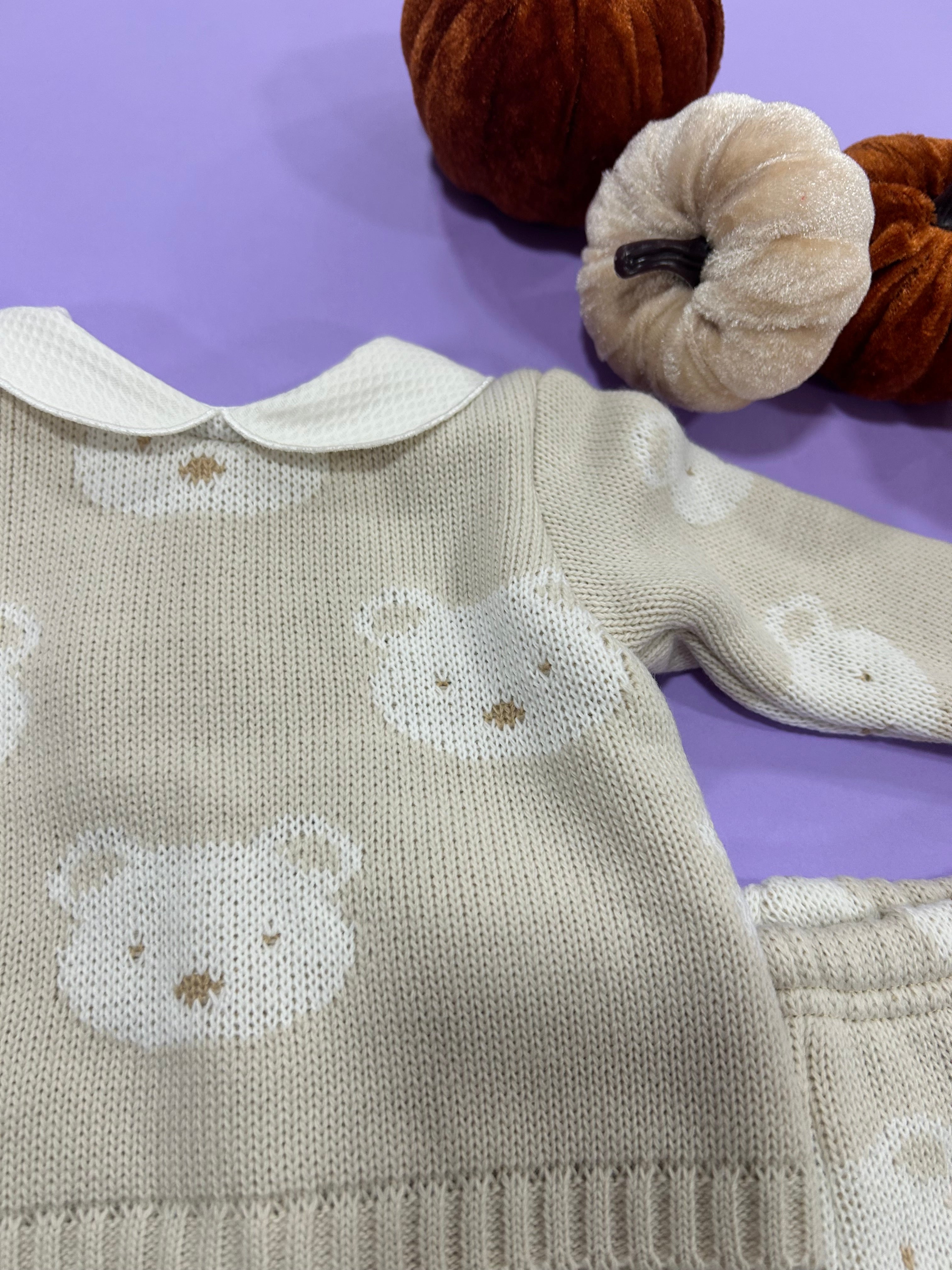 Baby Boy 2 Piece Beige Bear Outfit