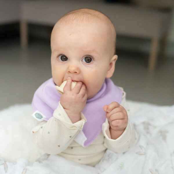 Ziggle Bibs “Orchid Petal” 4 Pack