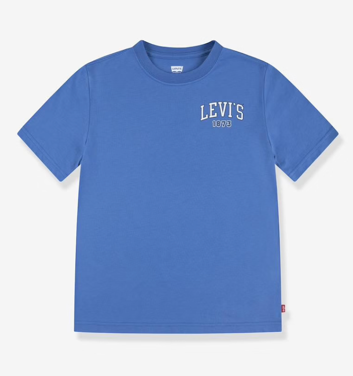 Boys Blue Levi’s Branded T-shirt