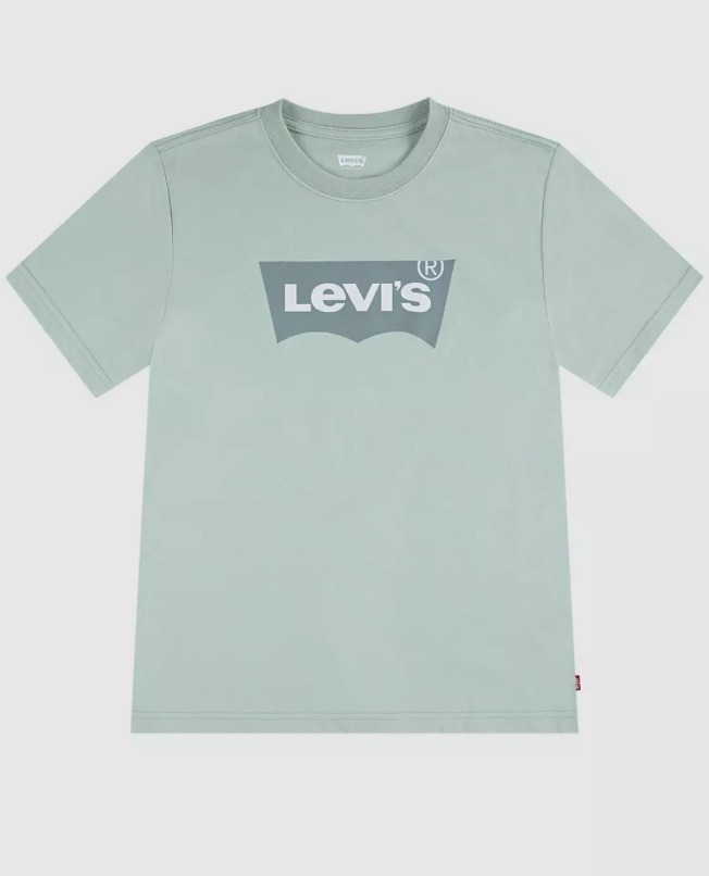 Levi's Boys Green Cotton Logo T-Shirt