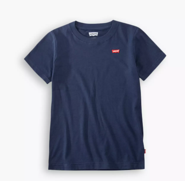 Levi's Boys Blue Logo T-Shirt
