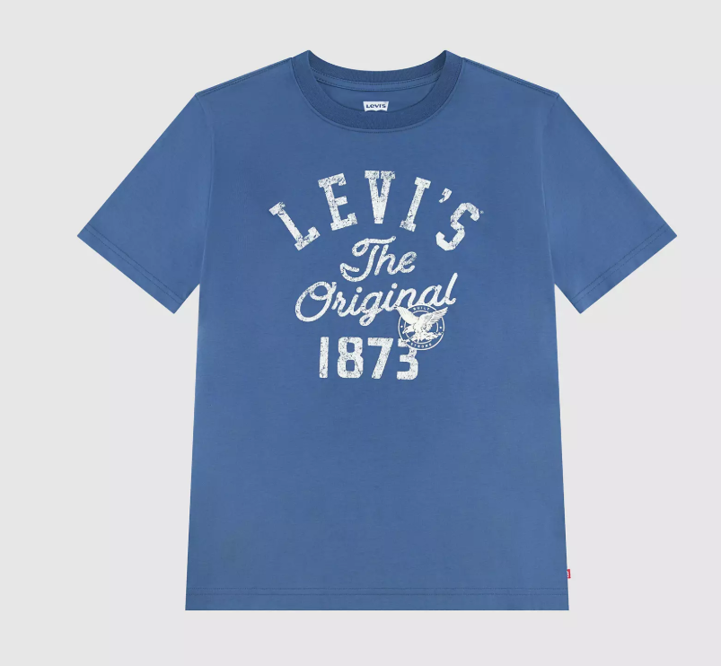Levi's Boys Blue Original T-shirt